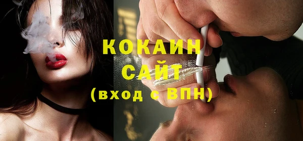 дживик Богородицк