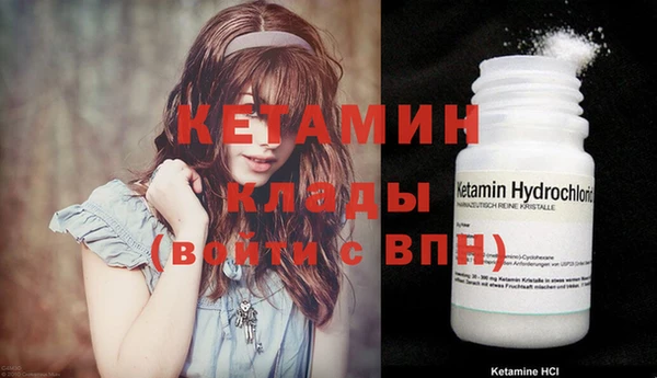 дживик Богородицк